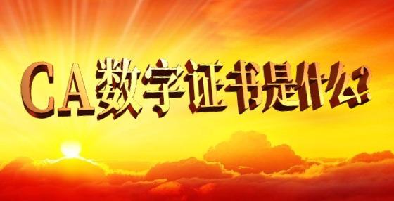 CA數(shù)字證書是什么？
